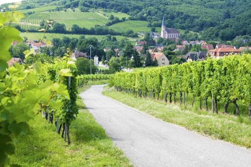 גואבוילר Appartement Avec Terrasse Entre Vignes, Balades, Alsace מראה חיצוני תמונה
