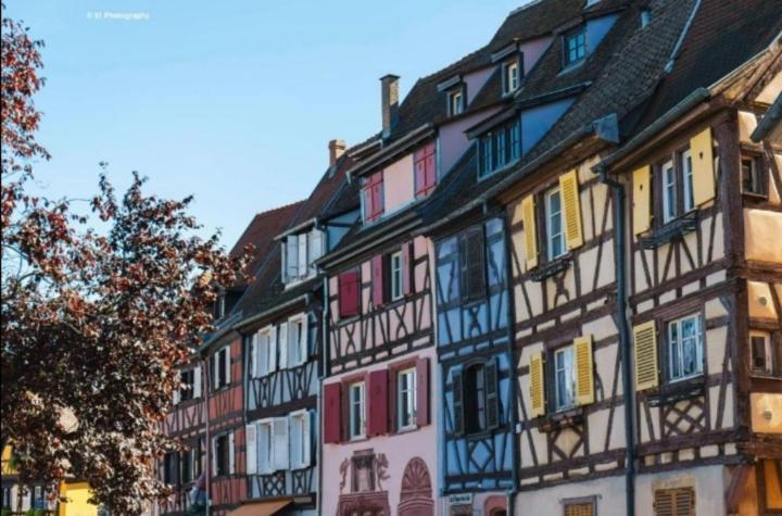 גואבוילר Appartement Avec Terrasse Entre Vignes, Balades, Alsace מראה חיצוני תמונה