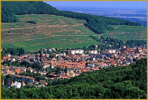 גואבוילר Appartement Avec Terrasse Entre Vignes, Balades, Alsace מראה חיצוני תמונה